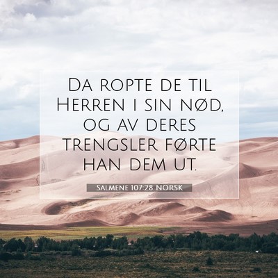 Picture 07 - Salmene 107:28 NORSK - Da ropte de til Herren i sin nød, og av deres - Bible Verse Picture
