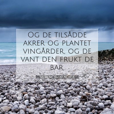 Picture 07 - Salmene 107:37 NORSK - Og de tilsådde akrer og plantet vingårder, og - Bible Verse Picture