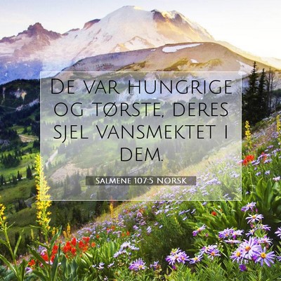 Picture 07 - Salmene 107:5 NORSK - De var hungrige og tørste, deres sjel vansmektet - Bible Verse Picture