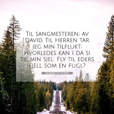 Picture 07 - Salmene 11:1 NORSK - Til sangmesteren; av David. Til Herren tar jeg - Bible Verse Picture