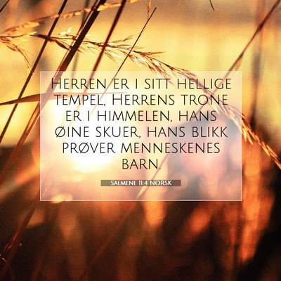 Picture 07 - Salmene 11:4 NORSK - Herren er i sitt hellige tempel, Herrens trone er - Bible Verse Picture