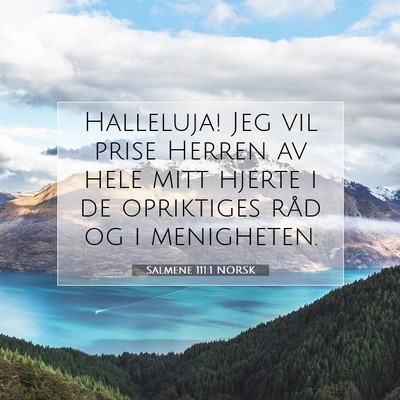 Picture 07 - Salmene 111:1 NORSK - Halleluja! Jeg vil prise Herren av hele mitt - Bible Verse Picture