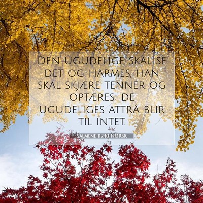 Picture 07 - Salmene 112:10 NORSK - Den ugudelige skal se det og harmes, han skal - Bible Verse Picture