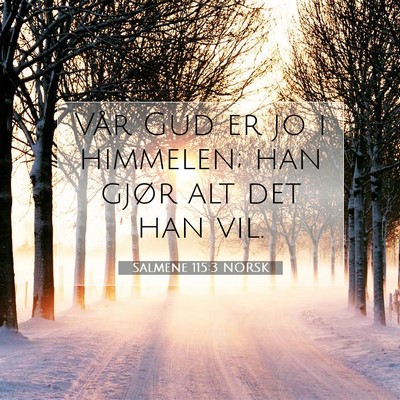 Picture 07 - Salmene 115:3 NORSK - Vår Gud er jo i himmelen; han gjør alt det han - Bible Verse Picture