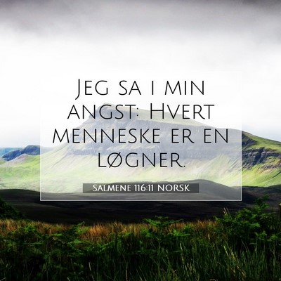 Picture 07 - Salmene 116:11 NORSK - Jeg sa i min angst: Hvert menneske er en - Bible Verse Picture