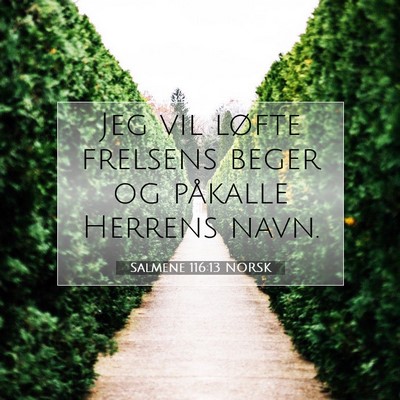 Picture 07 - Salmene 116:13 NORSK - Jeg vil løfte frelsens beger og påkalle Herrens - Bible Verse Picture