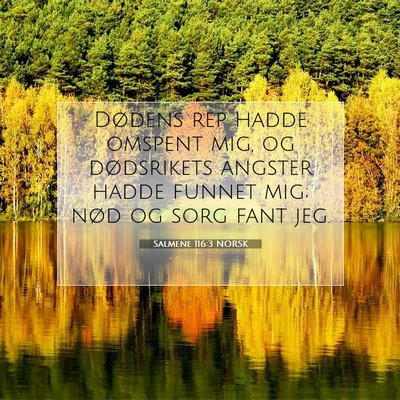 Picture 07 - Salmene 116:3 NORSK - Dødens rep hadde omspent mig, og dødsrikets - Bible Verse Picture
