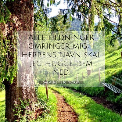 Picture 07 - Salmene 118:10 NORSK - Alle hedninger omringer mig; i Herrens navn skal - Bible Verse Picture