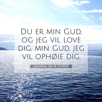 Picture 07 - Salmene 118:28 NORSK - Du er min Gud, og jeg vil love dig, min Gud, jeg - Bible Verse Picture