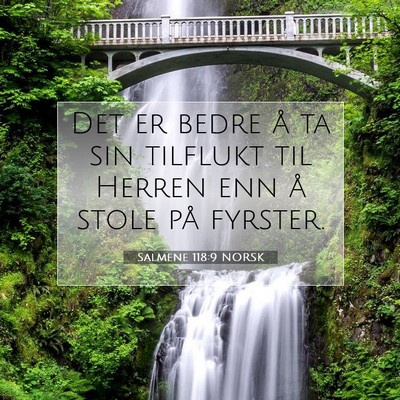 Picture 07 - Salmene 118:9 NORSK - Det er bedre å ta sin tilflukt til Herren enn å - Bible Verse Picture
