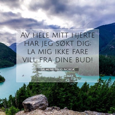 Picture 07 - Salmene 119:10 NORSK - Av hele mitt hjerte har jeg søkt dig; la mig - Bible Verse Picture