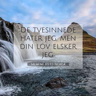 Picture 07 - Salmene 119:113 NORSK - De tvesinnede hater jeg, men din lov elsker - Bible Verse Picture