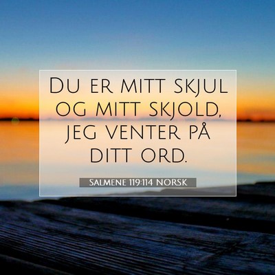 Picture 07 - Salmene 119:114 NORSK - Du er mitt skjul og mitt skjold, jeg venter på - Bible Verse Picture