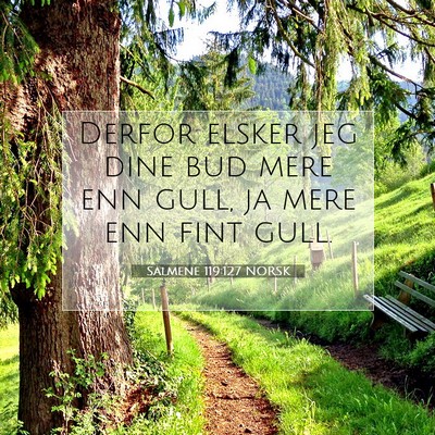 Picture 07 - Salmene 119:127 NORSK - Derfor elsker jeg dine bud mere enn gull, ja mere - Bible Verse Picture