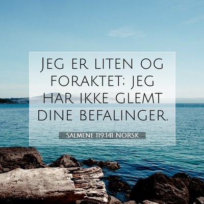 Picture 07 - Salmene 119:141 NORSK - Jeg er liten og foraktet; jeg har ikke glemt dine - Bible Verse Picture
