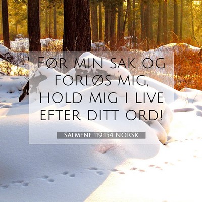 Picture 07 - Salmene 119:154 NORSK - Før min sak og forløs mig, hold mig i live - Bible Verse Picture