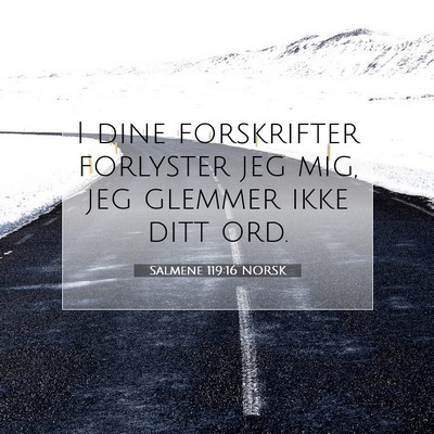 Picture 07 - Salmene 119:16 NORSK - I dine forskrifter forlyster jeg mig, jeg glemmer - Bible Verse Picture