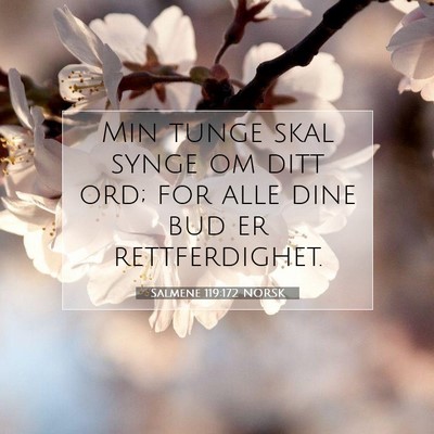 Picture 07 - Salmene 119:172 NORSK - Min tunge skal synge om ditt ord; for alle dine - Bible Verse Picture