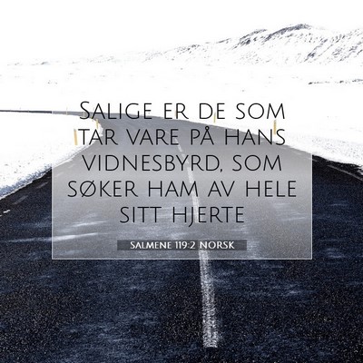 Picture 07 - Salmene 119:2 NORSK - Salige er de som tar vare på hans vidnesbyrd, - Bible Verse Picture