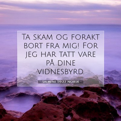 Picture 07 - Salmene 119:22 NORSK - Ta skam og forakt bort fra mig! For jeg har tatt - Bible Verse Picture