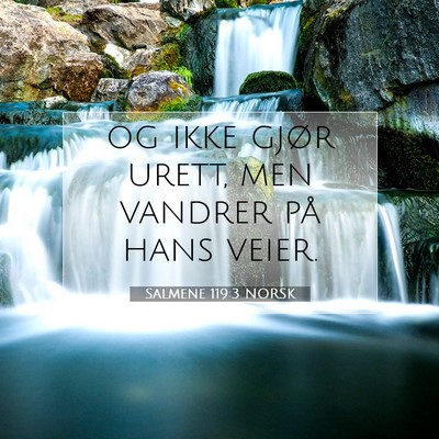 Picture 07 - Salmene 119:3 NORSK - og ikke gjør urett, men vandrer på hans - Bible Verse Picture
