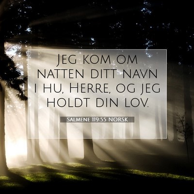 Picture 07 - Salmene 119:55 NORSK - Jeg kom om natten ditt navn i hu, Herre, og jeg - Bible Verse Picture