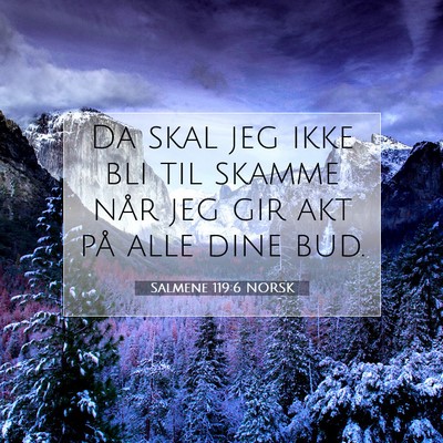 Picture 07 - Salmene 119:6 NORSK - Da skal jeg ikke bli til skamme når jeg gir akt - Bible Verse Picture