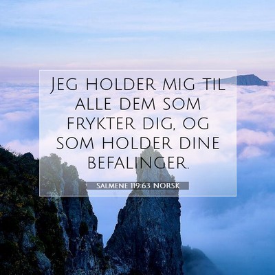 Picture 07 - Salmene 119:63 NORSK - Jeg holder mig til alle dem som frykter dig, og - Bible Verse Picture