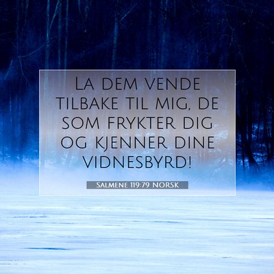 Picture 07 - Salmene 119:79 NORSK - La dem vende tilbake til mig, de som frykter dig - Bible Verse Picture
