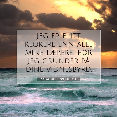 Picture 07 - Salmene 119:99 NORSK - Jeg er blitt klokere enn alle mine lærere; for - Bible Verse Picture