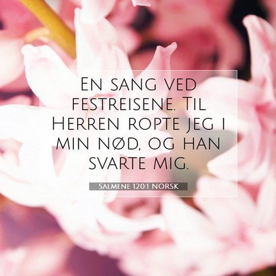 Picture 07 - Salmene 120:1 NORSK - En sang ved festreisene. Til Herren ropte jeg i - Bible Verse Picture