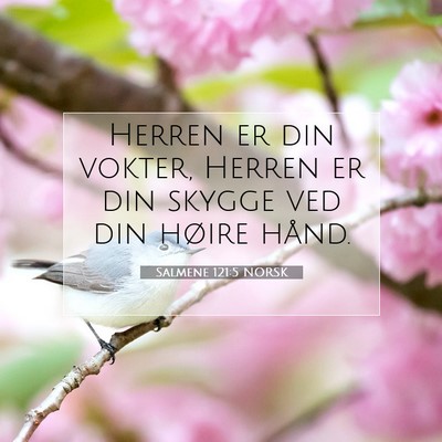 Picture 07 - Salmene 121:5 NORSK - Herren er din vokter, Herren er din skygge ved - Bible Verse Picture