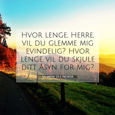 Picture 07 - Salmene 13:2 NORSK - Hvor lenge, Herre, vil du glemme mig evindelig? - Bible Verse Picture