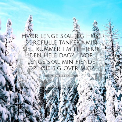 Picture 07 - Salmene 13:3 NORSK - Hvor lenge skal jeg huse sorgfulle tanker i min - Bible Verse Picture
