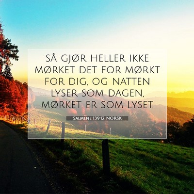 Picture 07 - Salmene 139:12 NORSK - så gjør heller ikke mørket det for mørkt for - Bible Verse Picture