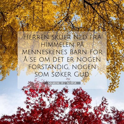 Picture 07 - Salmene 14:2 NORSK - Herren skuer ned fra himmelen på menneskenes - Bible Verse Picture