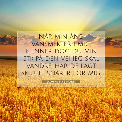 Picture 07 - Salmene 142:3 NORSK - Når min ånd vansmekter i mig, kjenner dog du - Bible Verse Picture