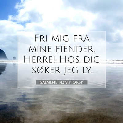 Picture 07 - Salmene 143:9 NORSK - Fri mig fra mine fiender, Herre! Hos dig søker - Bible Verse Picture
