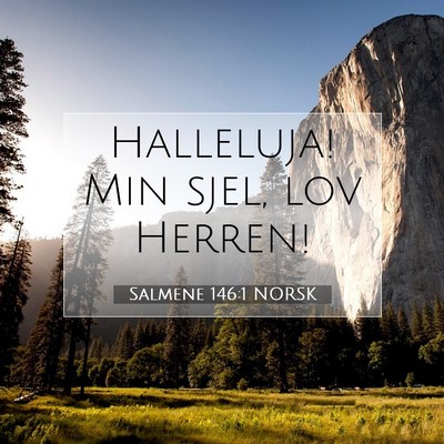 Picture 07 - Salmene 146:1 NORSK - Halleluja! Min sjel, lov - Bible Verse Picture