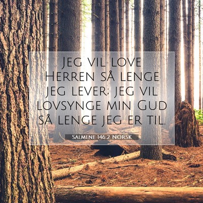 Picture 07 - Salmene 146:2 NORSK - Jeg vil love Herren så lenge jeg lever; jeg vil - Bible Verse Picture