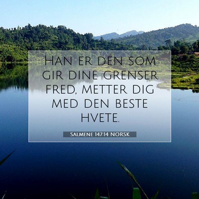 Picture 07 - Salmene 147:14 NORSK - Han er den som gir dine grenser fred, metter dig - Bible Verse Picture