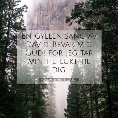 Picture 07 - Salmene 16:1 NORSK - En gyllen sang av David. Bevar mig, Gud! for jeg - Bible Verse Picture