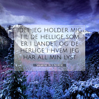 Picture 07 - Salmene 16:3 NORSK - idet jeg holder mig til de hellige som er i - Bible Verse Picture