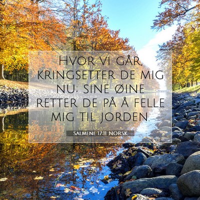 Picture 07 - Salmene 17:11 NORSK - Hvor vi går, kringsetter de mig nu; sine øine - Bible Verse Picture