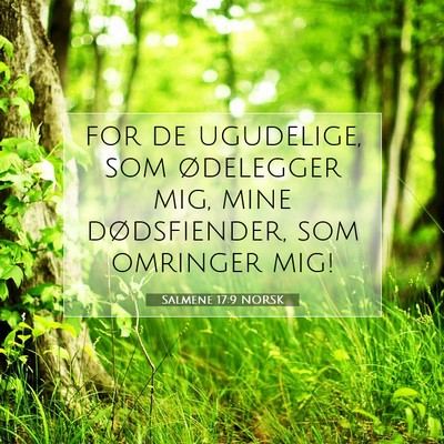 Picture 07 - Salmene 17:9 NORSK - for de ugudelige, som ødelegger mig, mine - Bible Verse Picture