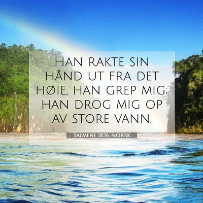 Picture 07 - Salmene 18:16 NORSK - Han rakte sin hånd ut fra det høie, han grep - Bible Verse Picture
