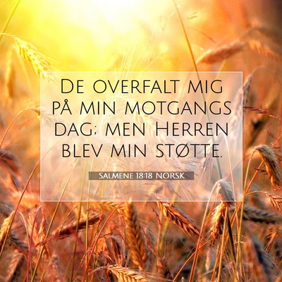 Picture 07 - Salmene 18:18 NORSK - De overfalt mig på min motgangs dag; men Herren - Bible Verse Picture