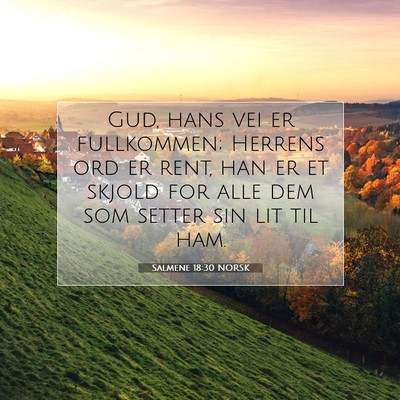 Picture 07 - Salmene 18:30 NORSK - Gud, hans vei er fullkommen; Herrens ord er rent, - Bible Verse Picture