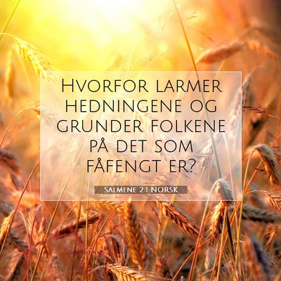 Picture 07 - Salmene 2:1 NORSK - Hvorfor larmer hedningene og grunder folkene på - Bible Verse Picture