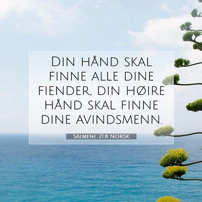 Picture 07 - Salmene 21:8 NORSK - Din hånd skal finne alle dine fiender, din - Bible Verse Picture